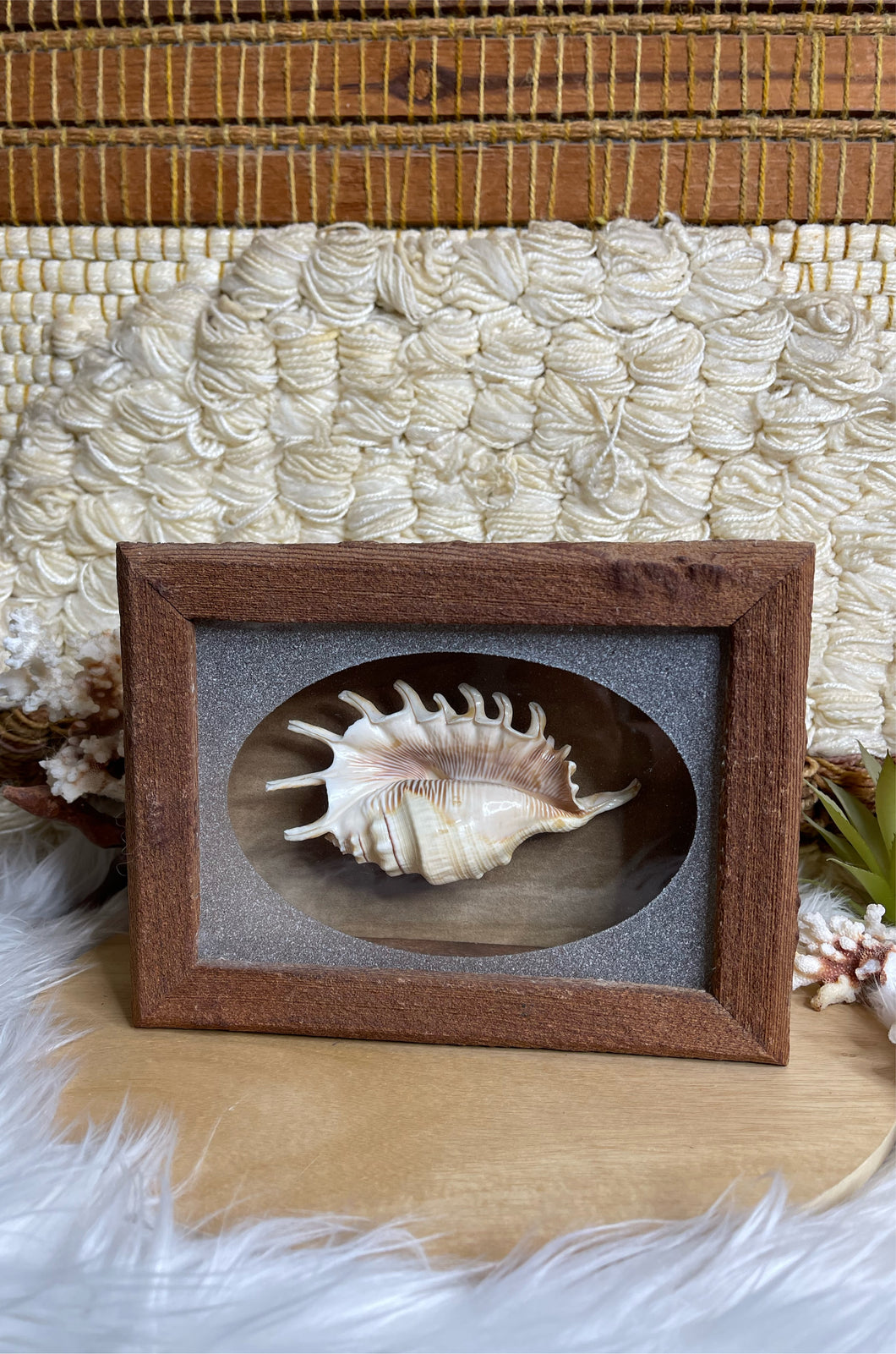 Shadow Box Shell Art